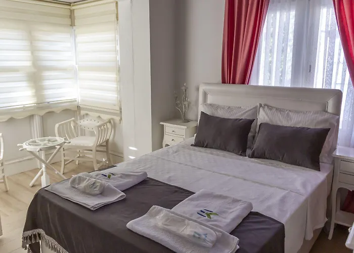 Elin Alacati فندق